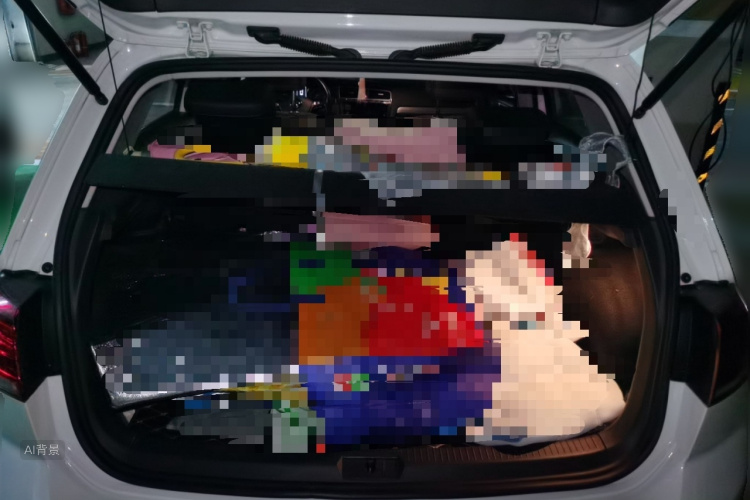 Volkswagen Golf 2019 car image #21