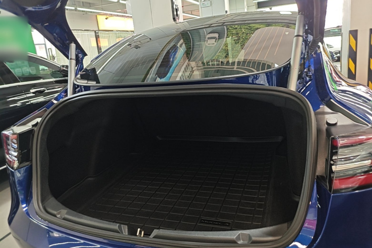 Tesla Model 3 2020 #21 Tesla Model 3 2020 car image #21