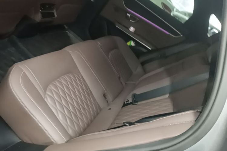 BYD Han 2022 #17 BYD Han 2022 immagine di auto #17