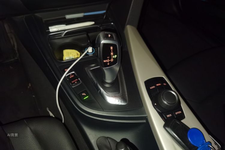 BMW 3 Series 2016 car image #16