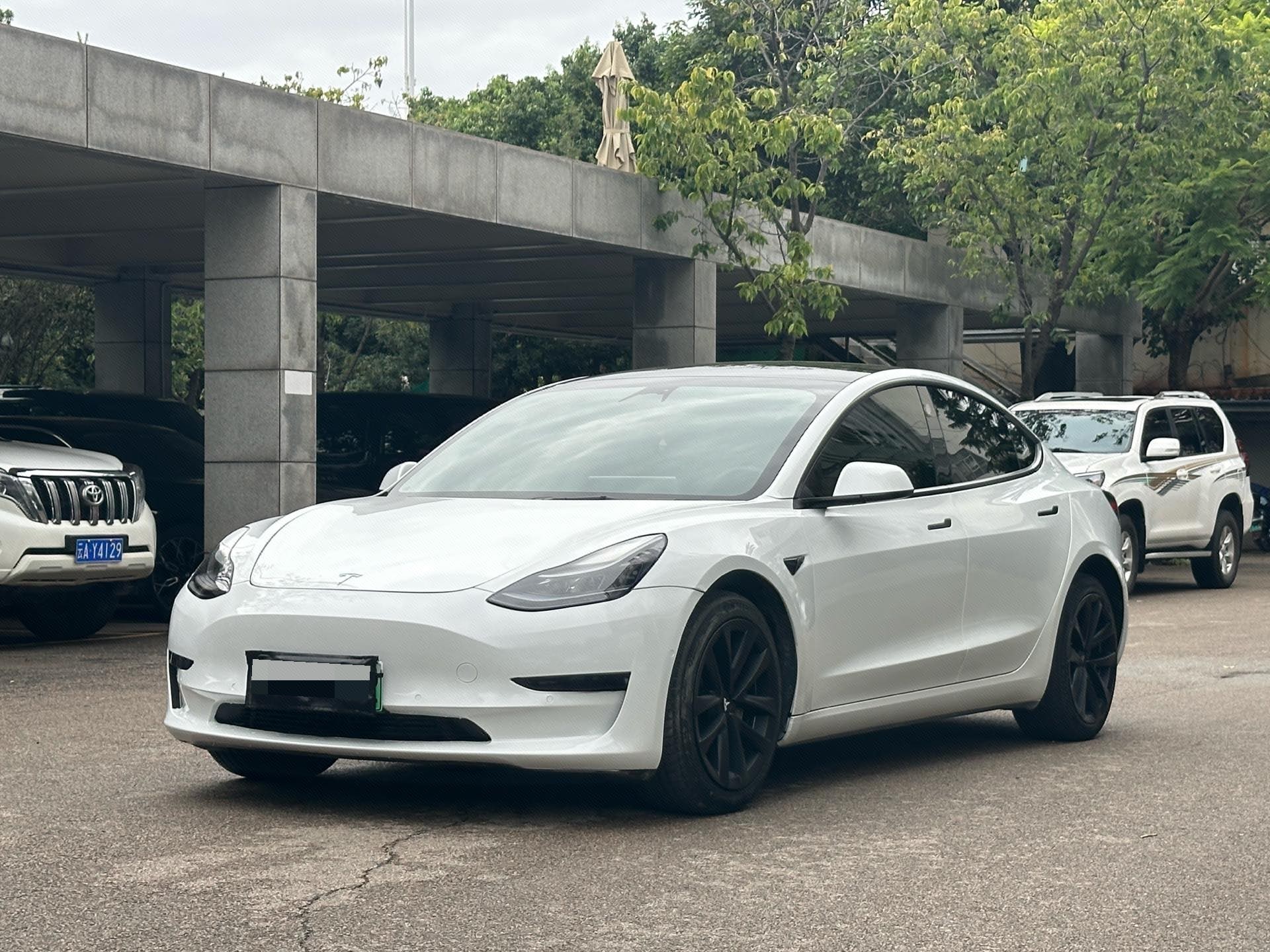 Tesla Model 3 2022 Tesla Model 3 2022 car image