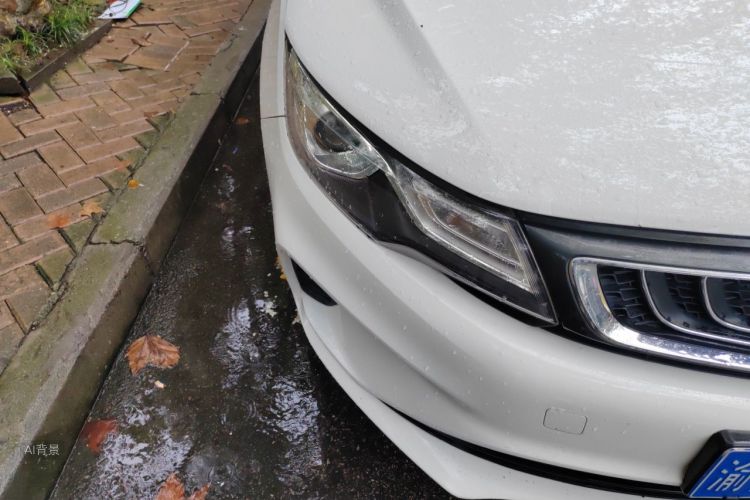 GEELY Emgrand GL 2020 car image #8