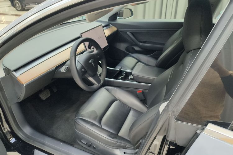 Tesla Model 3 2020 car image #15