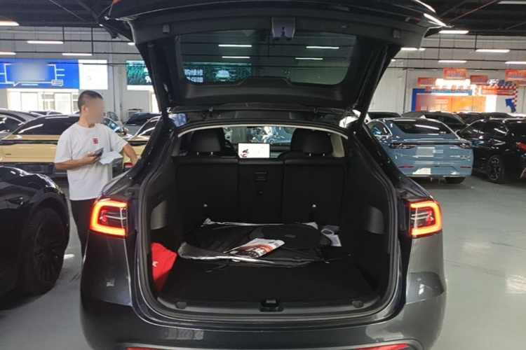 Tesla Model Y 2024 #19 Tesla Model Y 2024 car image #19