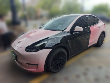 Tesla Model Y 2021 Tesla Model Y 2021 car image