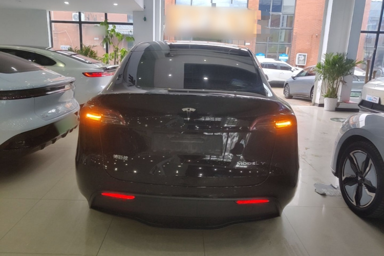 Tesla Model Y 2021 car image #6