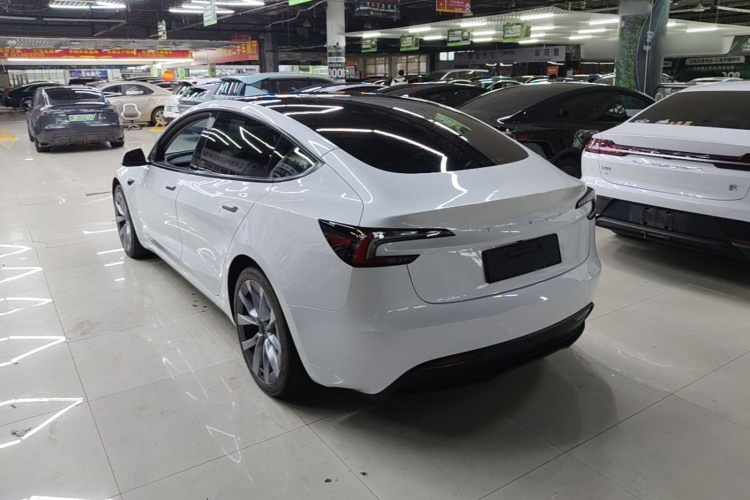 Tesla Model 3 2024 #5 Tesla Model 3 2024 car image #5