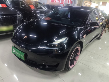 Tesla Model 3 2023 Tesla Model 3 2023 car image