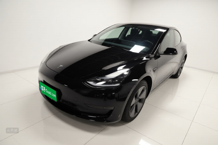 Tesla Model 3 2023 immagine di auto #2