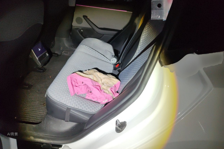 Tesla Model 3 2025 car image #19