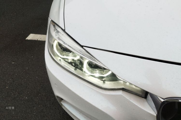 BMW 3 Series 2017 car image #8