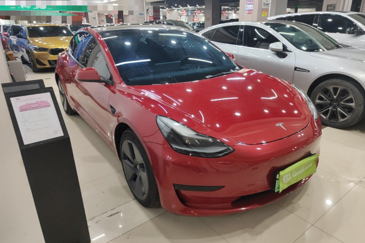 Tesla Model 3 2021 car image #4