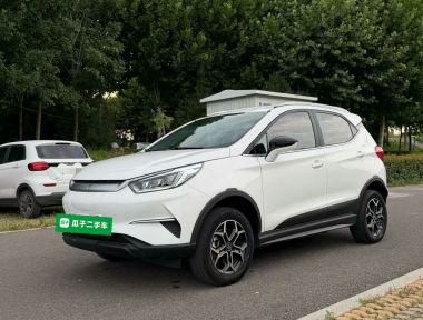 BYD Yuan Pro 2022 immagine di auto 