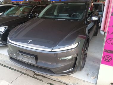 Tesla Model Y 2025 car image 