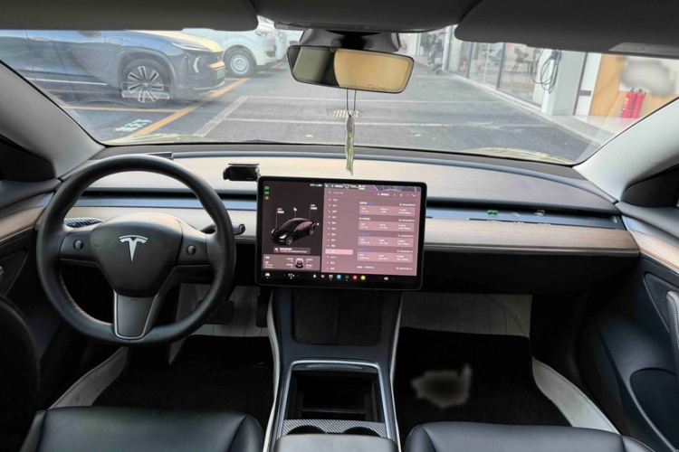 Tesla Model 3 2021 #13 Tesla Model 3 2021 car image #13