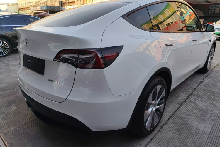 Tesla Model Y 2021 car image #7