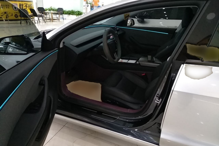 Tesla Model 3 2025 car image #19