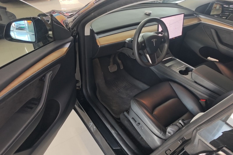Tesla Model Y 2021 car image #16