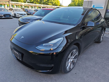 Tesla Model Y 2021 Tesla Model Y 2021 car image