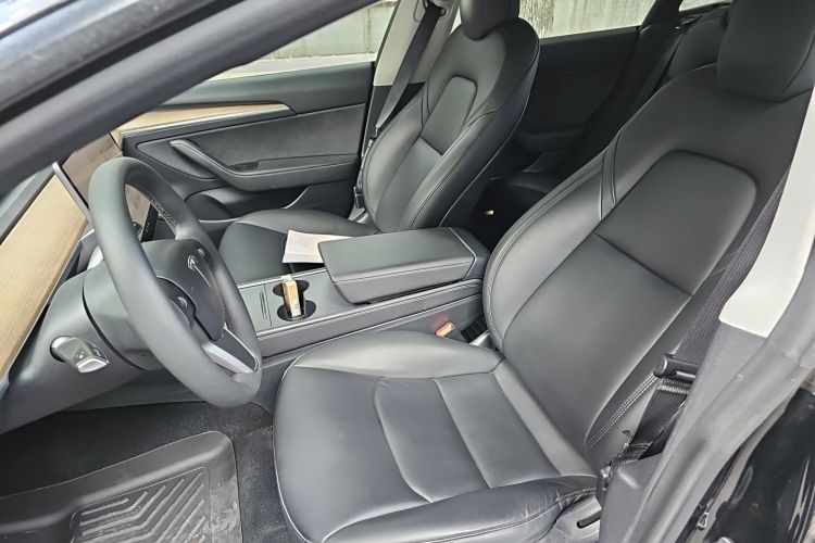 Tesla Model 3 2021 immagine di auto #15