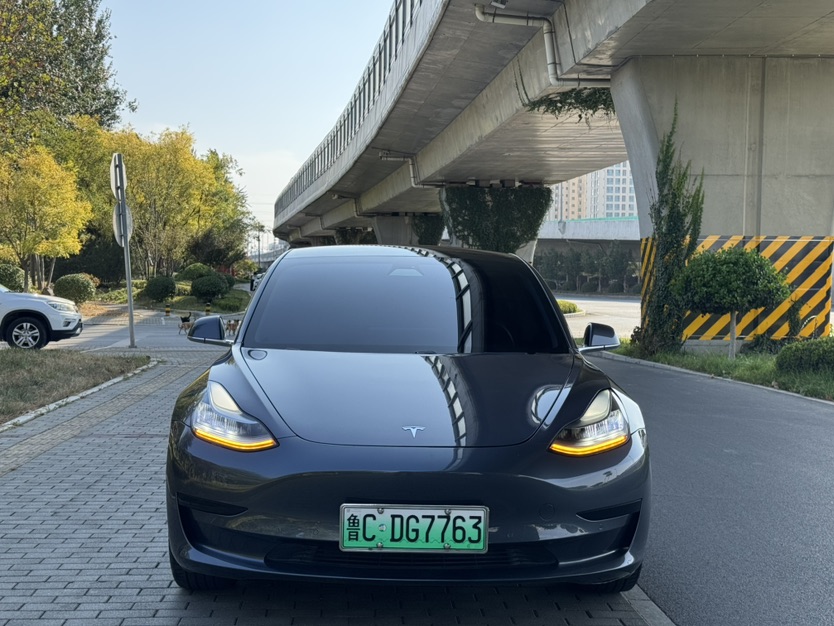 Tesla Model 3 2020 car image #2