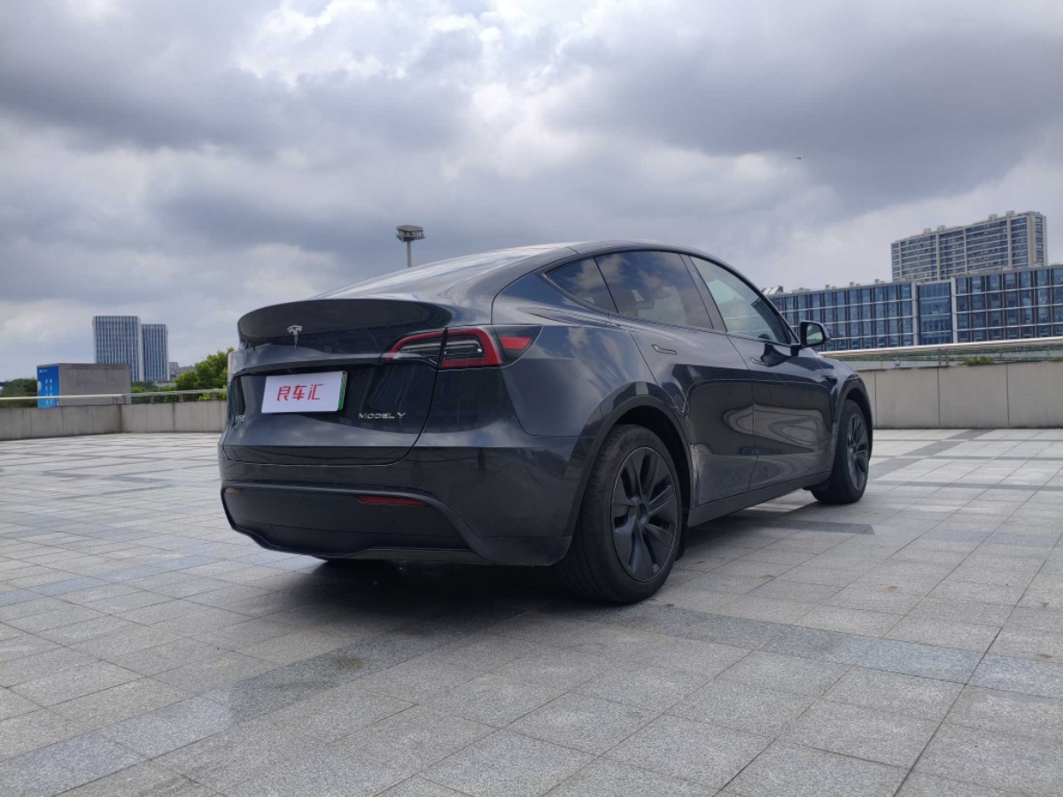 Tesla Model Y 2024 car image #7