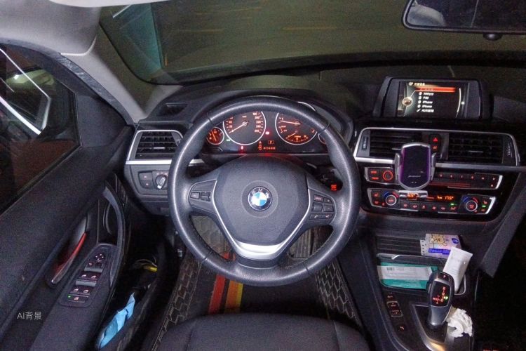 BMW 3 Series 2017 car image #12