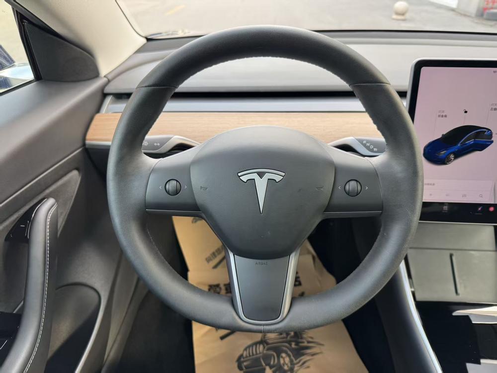 Tesla Model 3 2020 car image #14