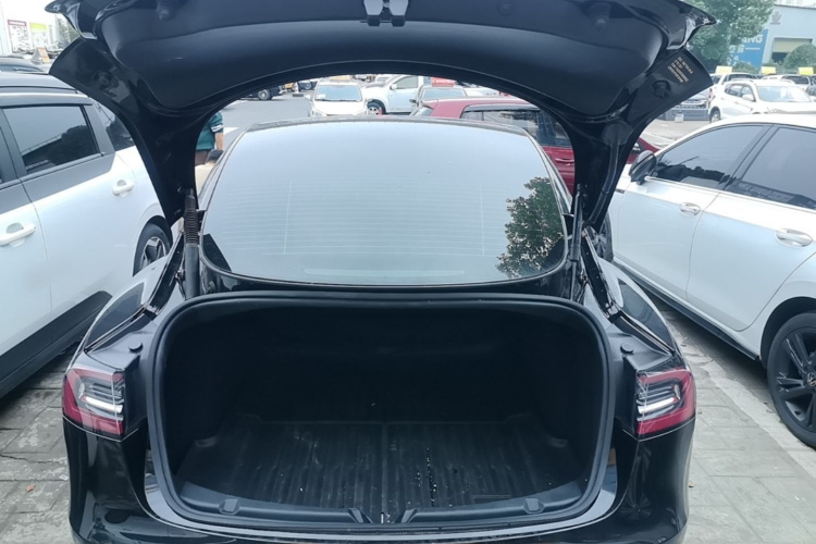 Tesla Model 3 2023 car image #19