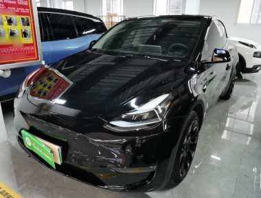 Tesla Model Y 2023 Tesla Model Y 2023 car image