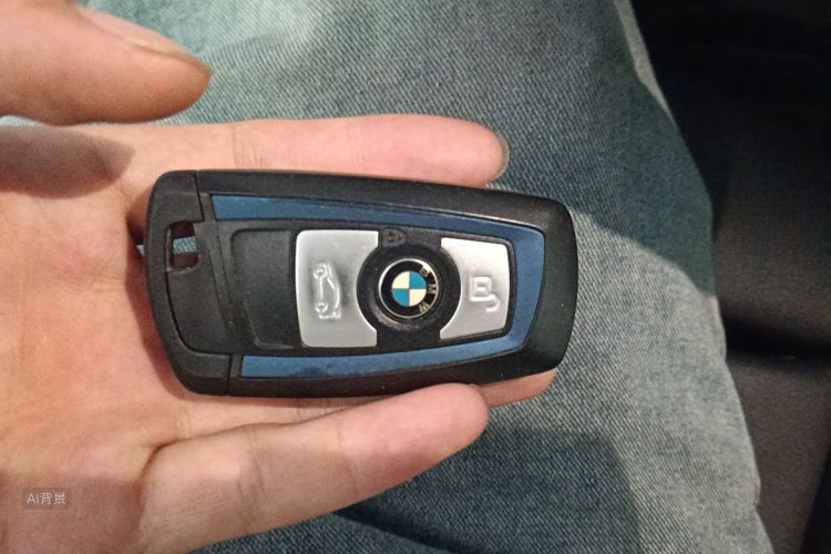 BMW 3 Series 2017 car image #10
