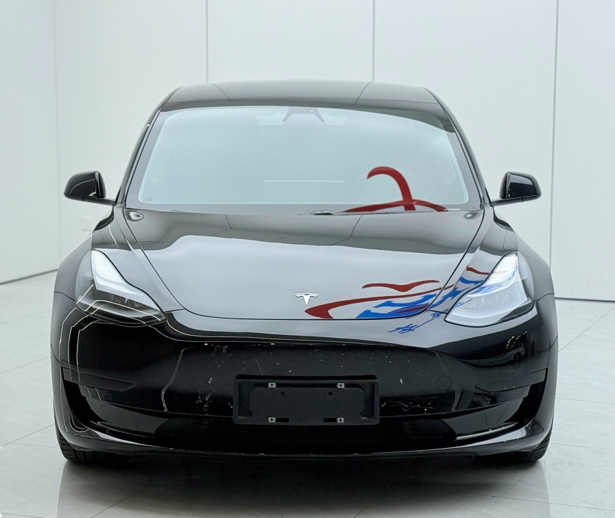 Tesla Model 3 2021 car image #2