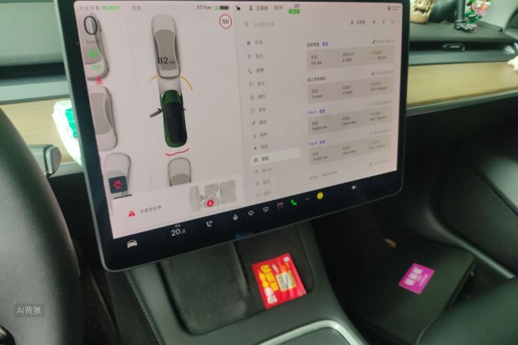 Tesla Model 3 2021 car image #13