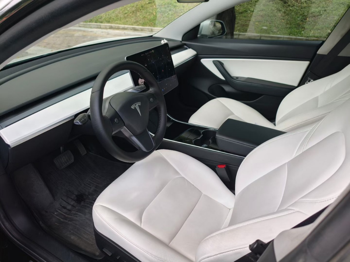 Tesla Model 3 2020 car image #4