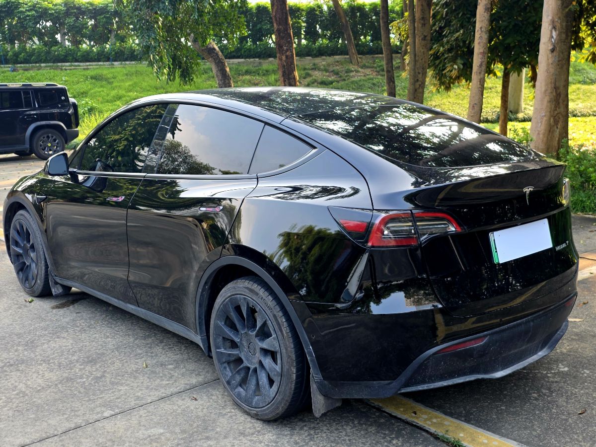 Tesla Model Y 2021 #5 Tesla Model Y 2021 car image #5