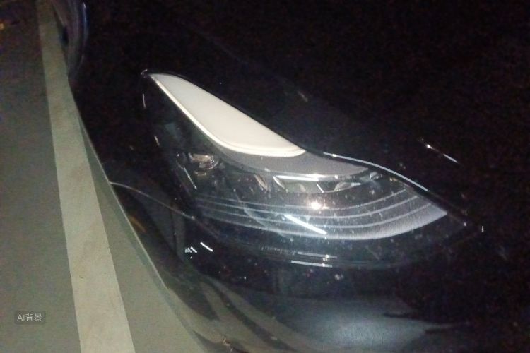 Tesla Model 3 2023 car image #8