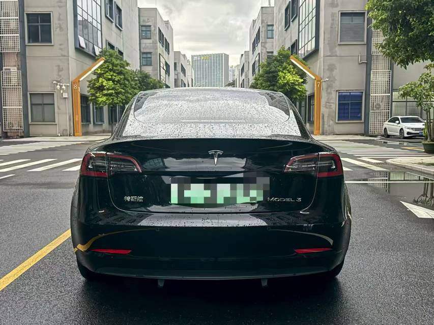 Tesla Model 3 2021 #5 Tesla Model 3 2021 car image #5