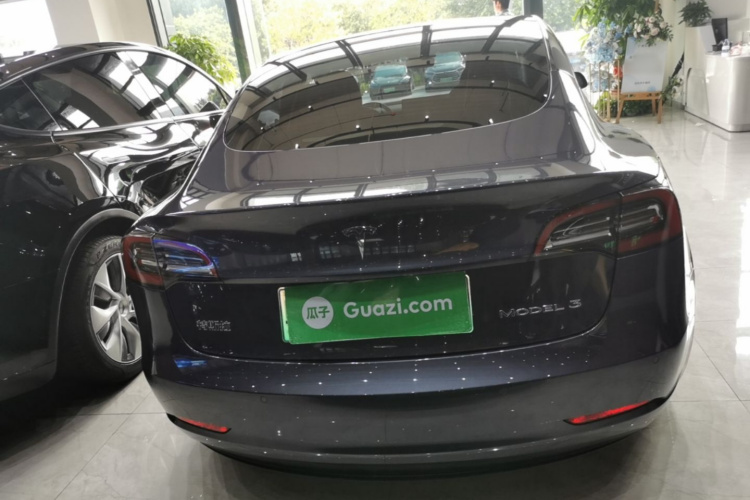 Tesla Model 3 2021 #6 Tesla Model 3 2021 car image #6