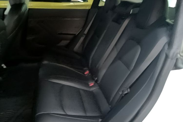 Tesla Model 3 2020 car image #17