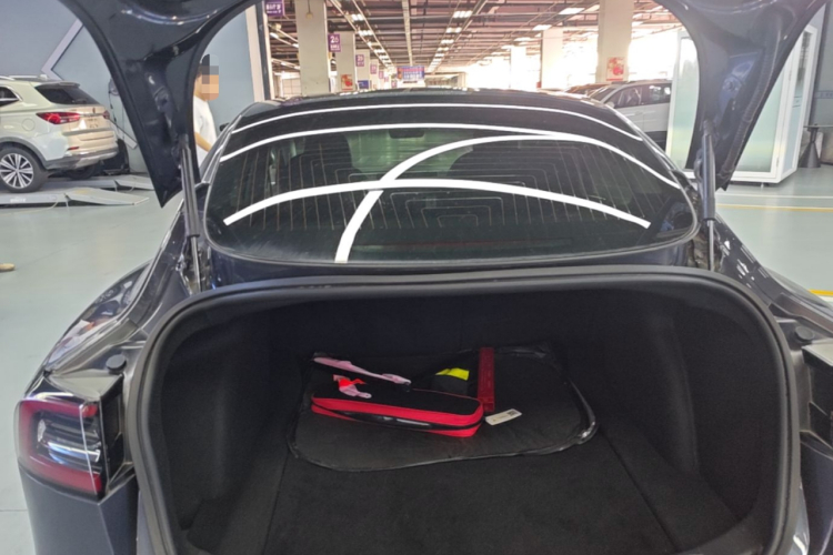 Tesla Model 3 2020 car image #19