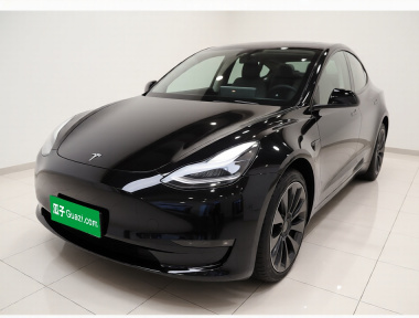 Tesla Model Y 2021 Tesla Model Y 2021 car image
