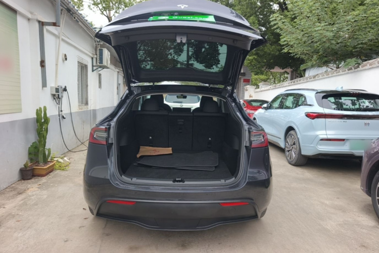 Tesla Model Y 2024 car image #19