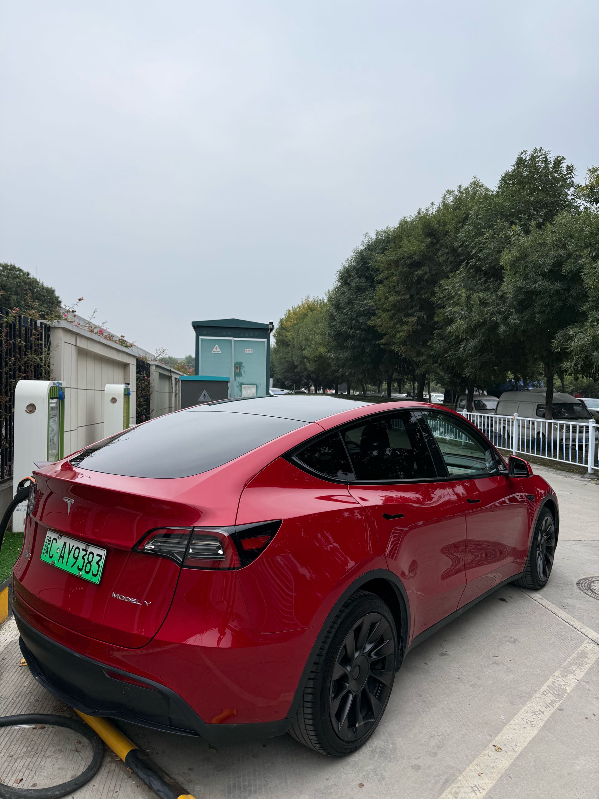 Tesla Model Y 2021 صورة سيارة #14