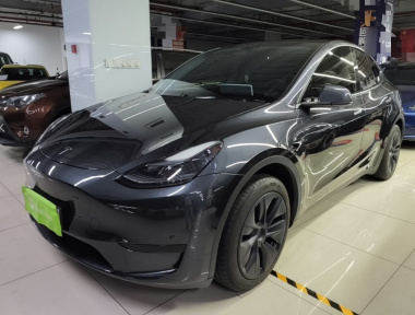 Tesla Model Y 2024 Tesla Model Y 2024 car image
