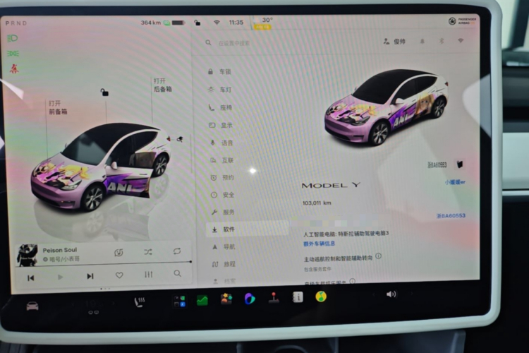 Tesla Model Y 2022 car image #12