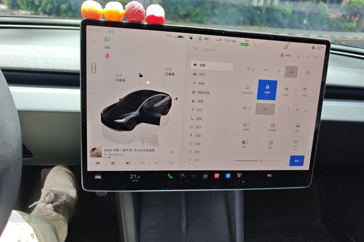Tesla Model 3 2024 car image #13
