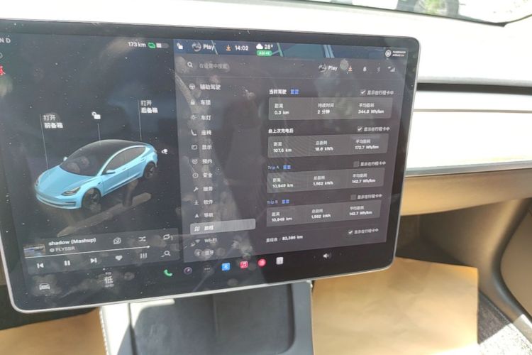 Tesla Model 3 2021 car image #13