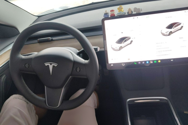 Tesla Model 3 2023 car image #10