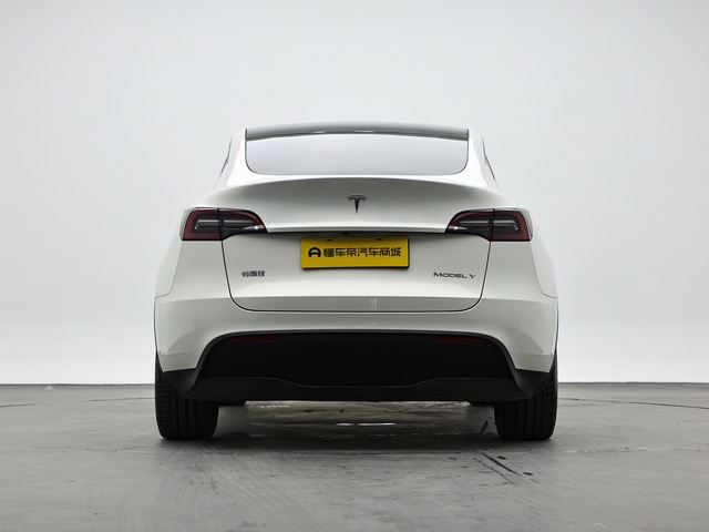 Tesla Model Y 2021 car image #8