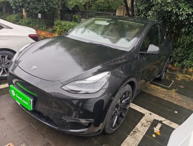 Tesla Model Y 2021 Tesla Model Y 2021 car image